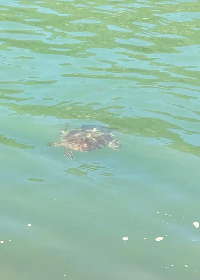 Gruta Da Sereia Suites Ubatuba Kültér fotó