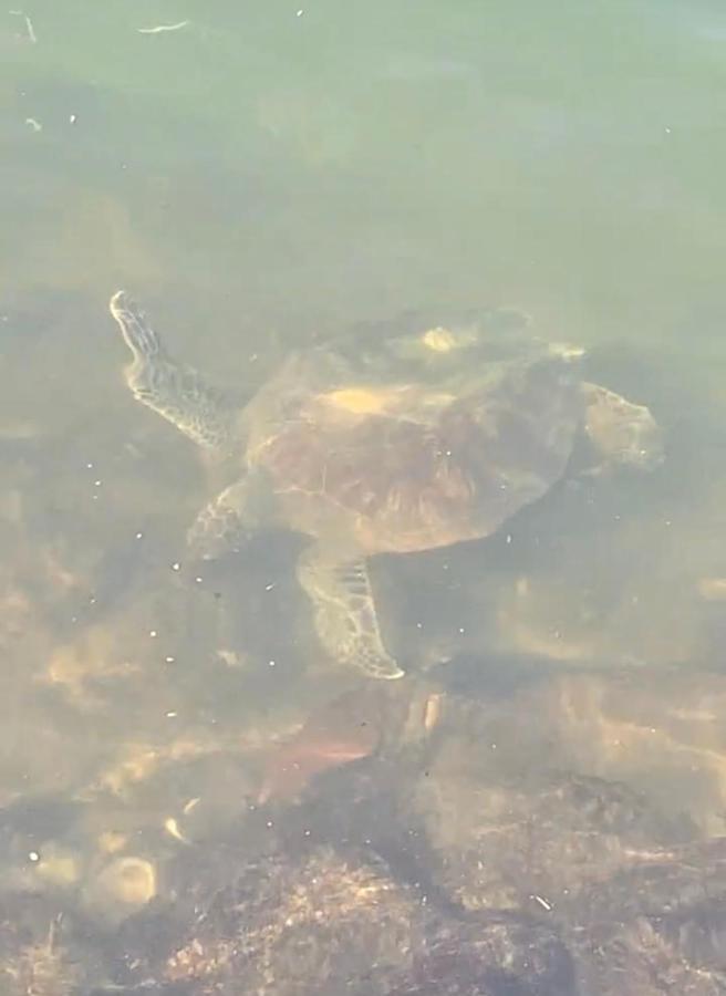 Gruta Da Sereia Suites Ubatuba Kültér fotó